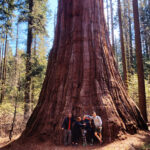 Guests enjoying a guided hike to see giant sequoias