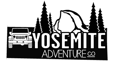 website header logo