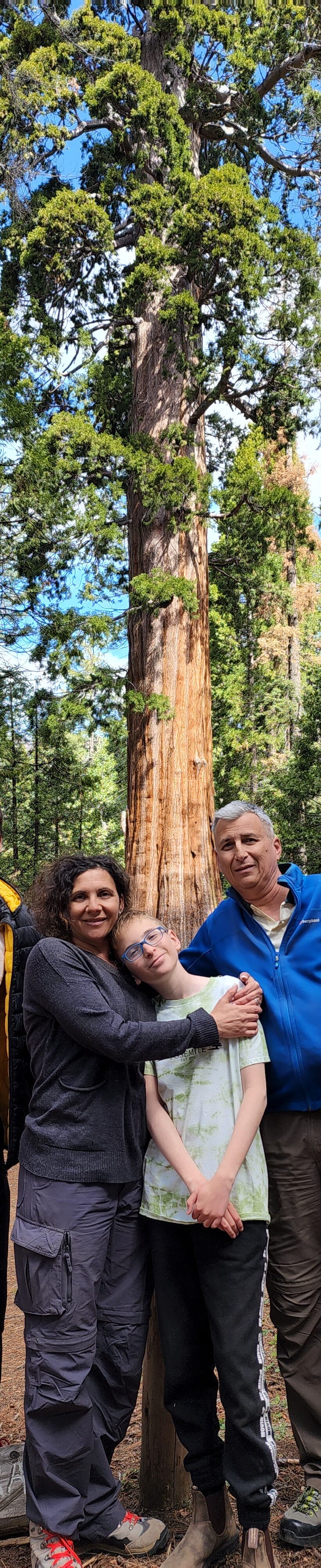 Group of visitors on a giant sequoia hike during a tour at Yosemite National Park