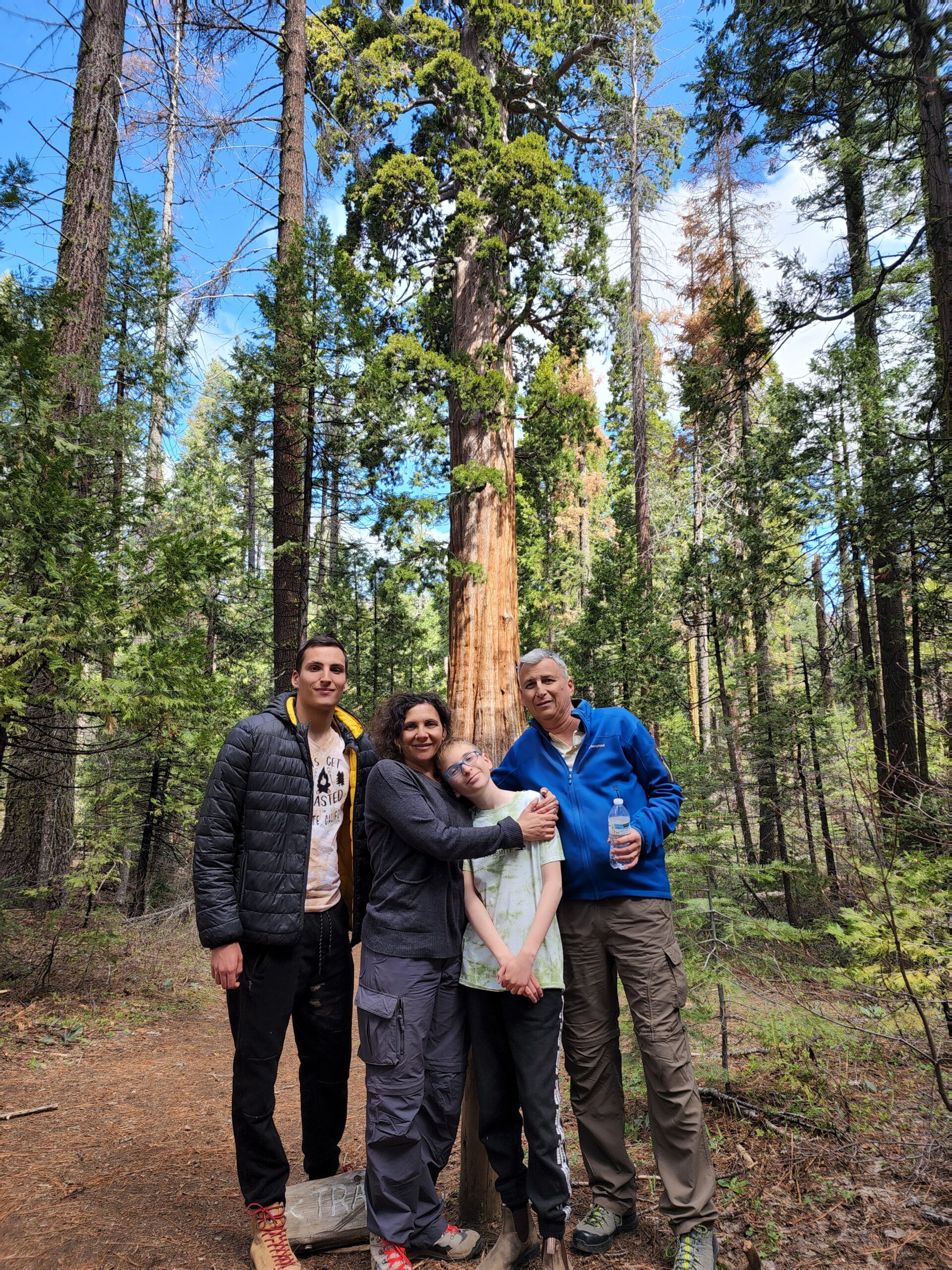 Group of visitors on a giant sequoia hike during a tour at Yosemite National Park