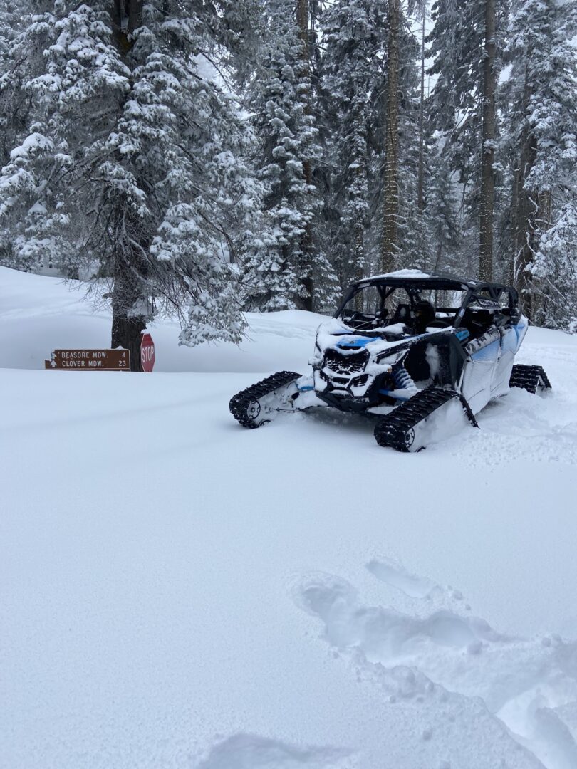 Winter Fun in Yosemite Snow Track Tours and Ice Skating at Tenaya