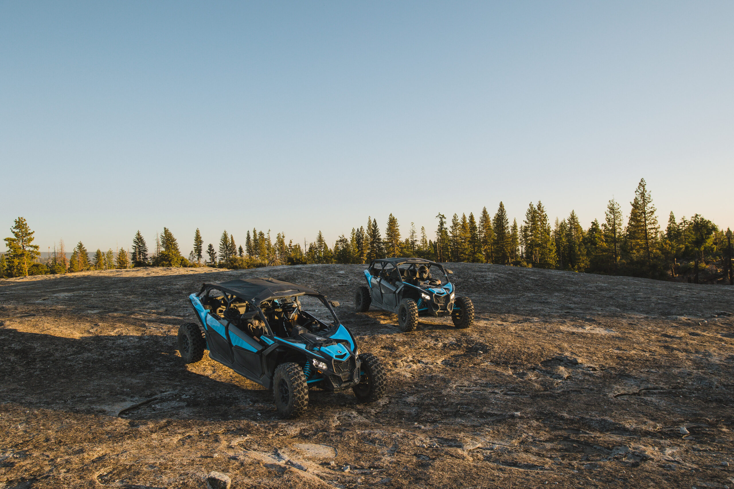 Guided Tour of Yosemite's Granite Plains